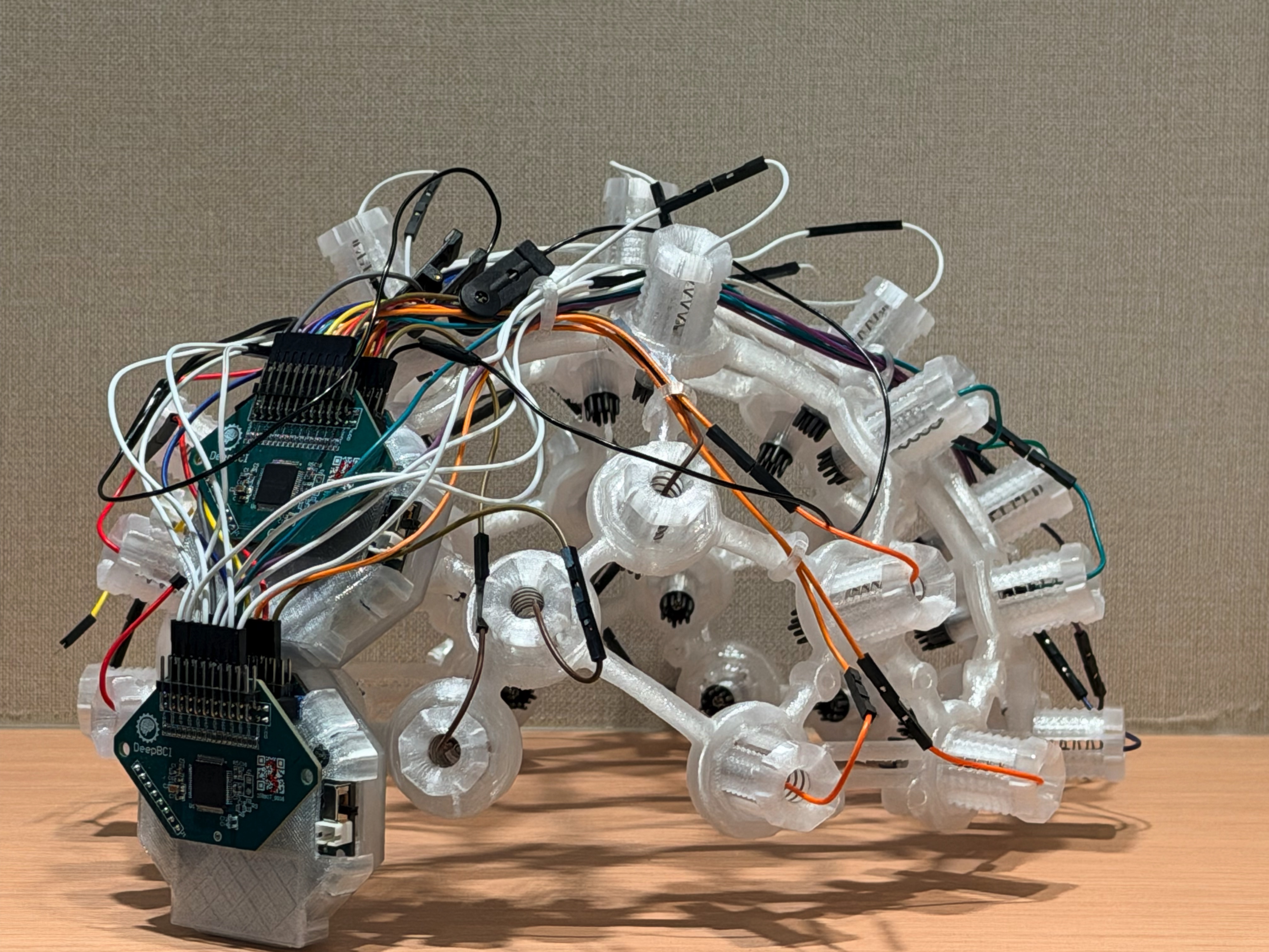 Pre-Assembled EEG Headset